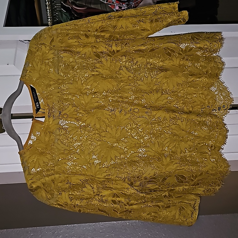 ZARA Lace Top